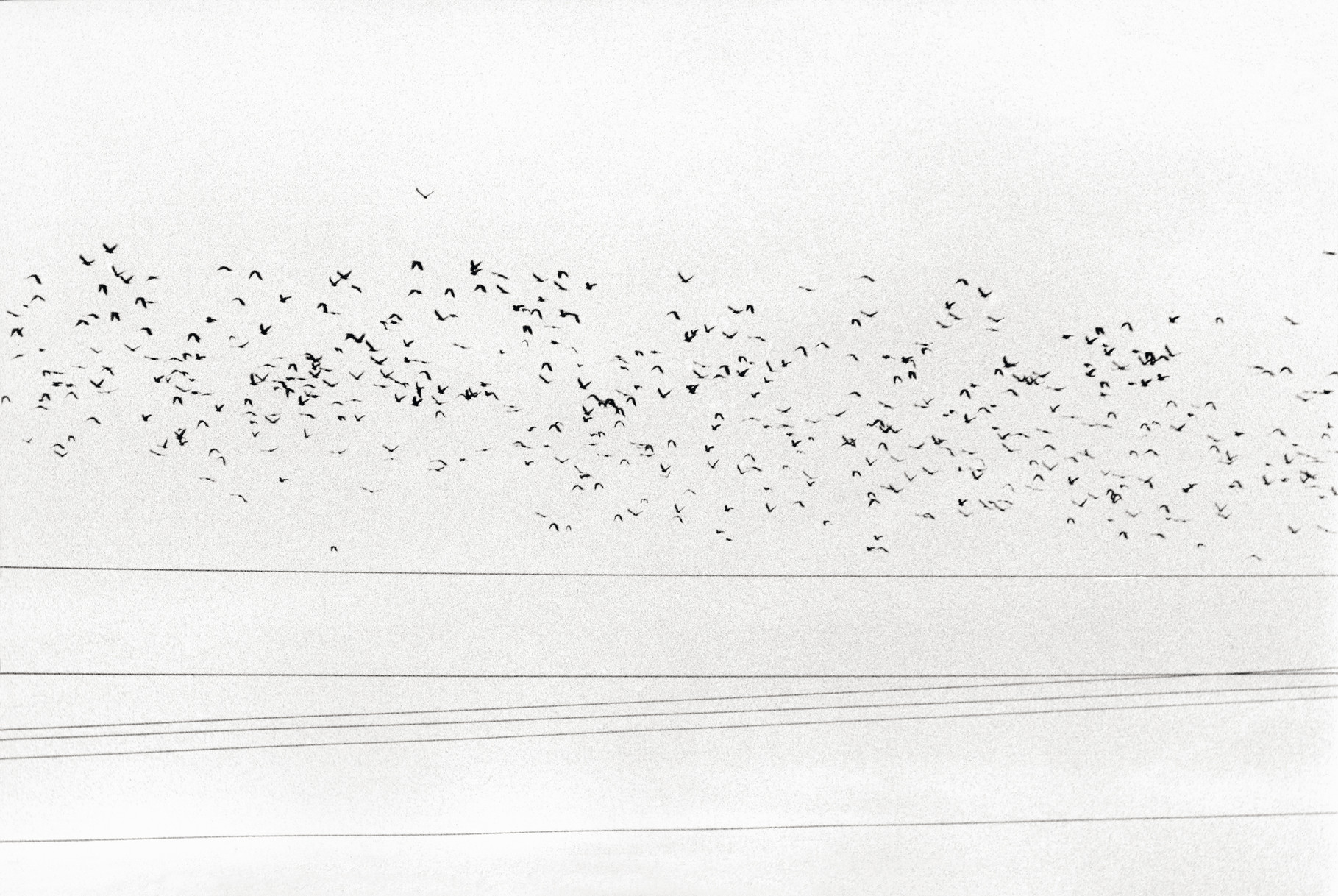 © Francis Martinal